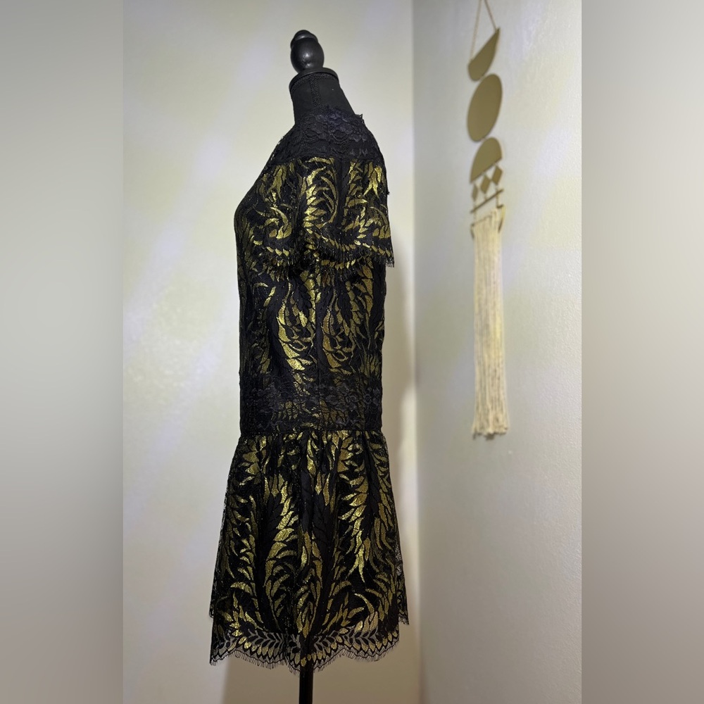 Juicy Couture Petrel Lurex Black Lace Mini Dress - Women, XS/2 - Picture 2 of 8